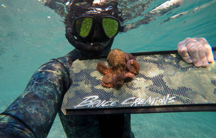 Bruce Creations Carbon Fibre fins with Octopus