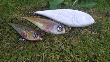 Fishing Lures Stages