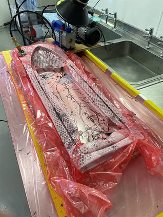 Red Bull Downhill Skateboard Mould