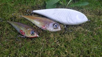 Fishing Lures Stages Thumbnail