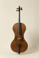 Flax Fibre Cello by Tim Duerinck Thumbnail