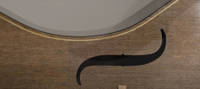 Flax Fibre Cello Close Up by Tim Duerinck Thumbnail