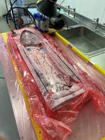 Red Bull Downhill Skateboard Mould Thumbnail