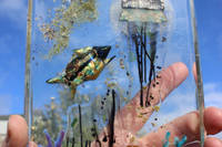 Jellyfish Book Created by Justine Bainbridge using GlassCast® 10 Clear Epoxy Casting Resin Thumbnail