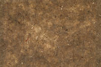 300g Non-Woven Flax Fiber Cured Laminate Sample Thumbnail