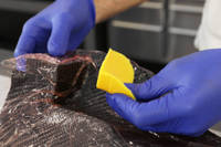 Placing cured silicone intensifier in the corner of a mould Thumbnail
