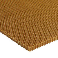 4.8mm Cell 48kg Nomex Honeycomb T=10mm Thumbnail