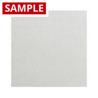 200g (5.9oz) 2x2 Twill Woven Glass - SAMPLE Thumbnail